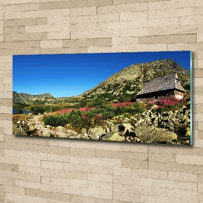 Foto glasbild Schäferhütte im Tal