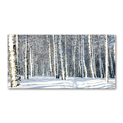 Glasbild Wald im Winter
