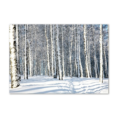 Glasbild Wald im Winter