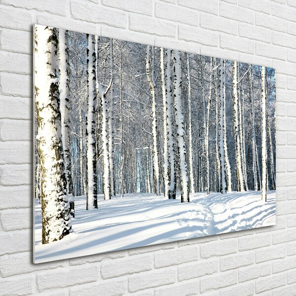 Glasbild Wald im Winter