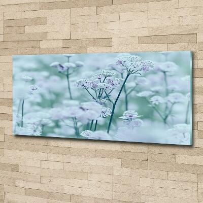 Foto glasbild Großer Mantelkraut