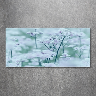 Foto glasbild Großer Mantelkraut