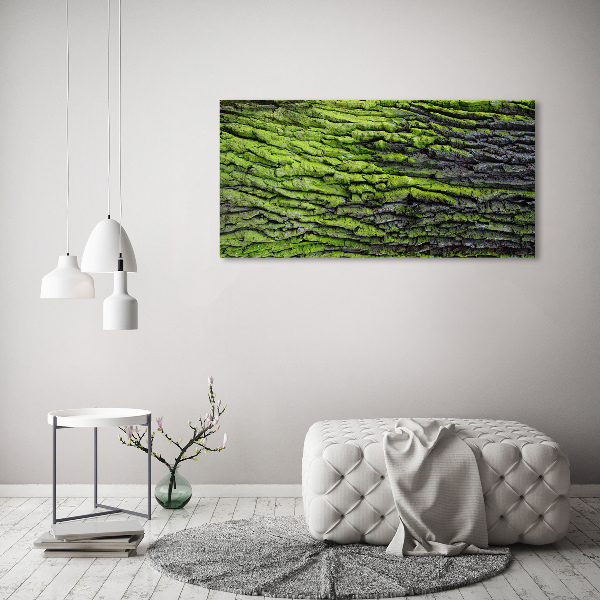 Foto glasbild Baumrinde