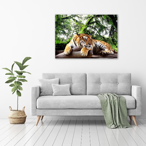 Bild auf glas Tiger auf einem Felsen