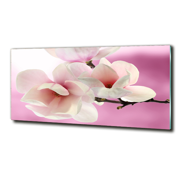 Foto glasbild Magnolie