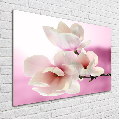 Foto glasbild Magnolie