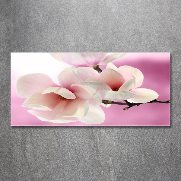 Foto glasbild Magnolie