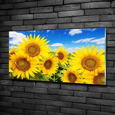 Glasbild Sonnenblumen