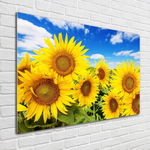 Glasbild Sonnenblumen