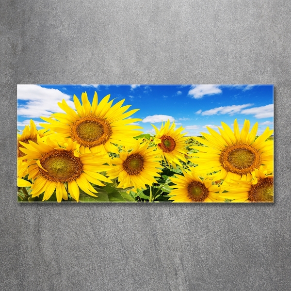 Glasbild Sonnenblumen