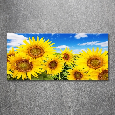Glasbild Sonnenblumen