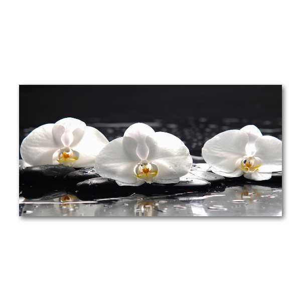 Foto glasbild Orchidee