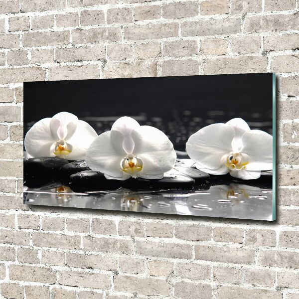 Foto glasbild Orchidee
