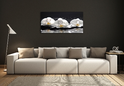 Foto glasbild Orchidee