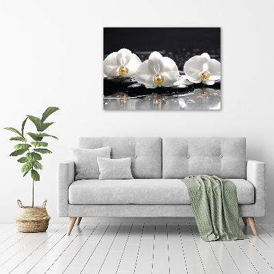 Foto glasbild Orchidee