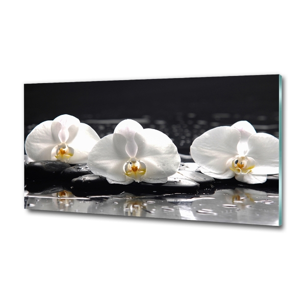 Foto glasbild Orchidee