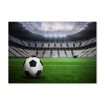 Glasbild Ball im Stadion