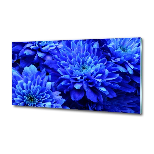 Bild auf glas Blaue Aster