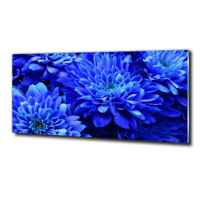Bild auf glas Blaue Aster