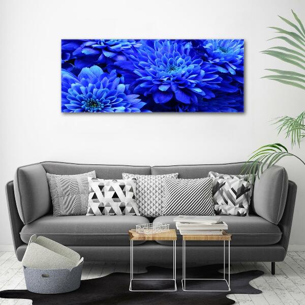 Bild auf glas Blaue Aster