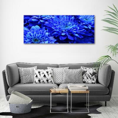 Bild auf glas Blaue Aster
