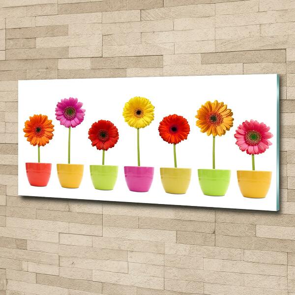 Glasbild Bunte Gerbera
