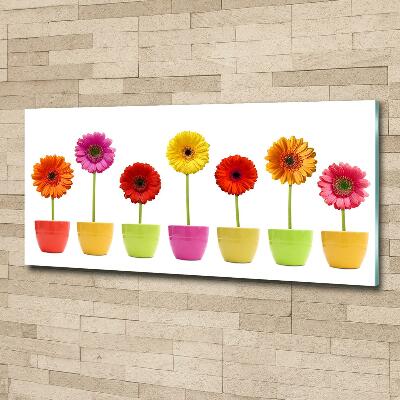 Glasbild Bunte Gerbera