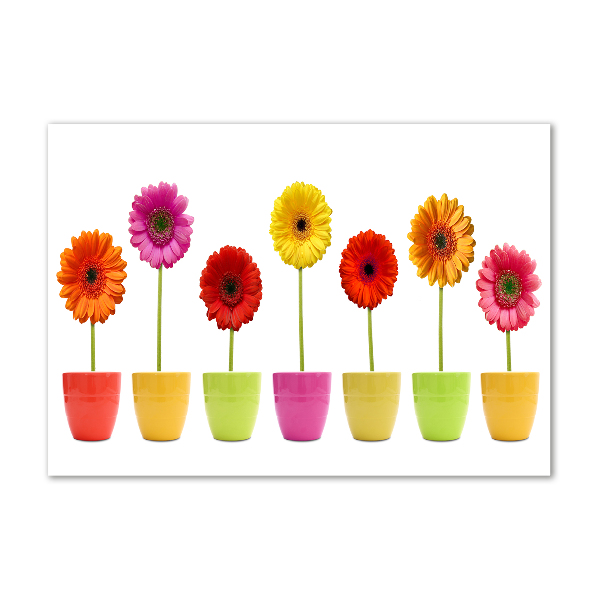 Glasbild Bunte Gerbera