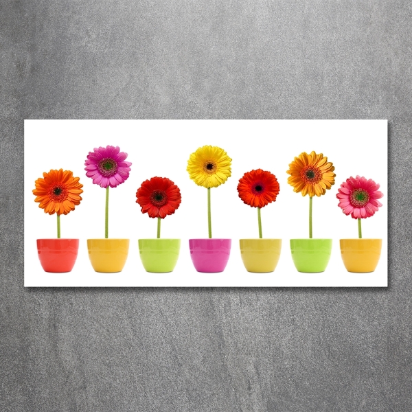 Glasbild Bunte Gerbera