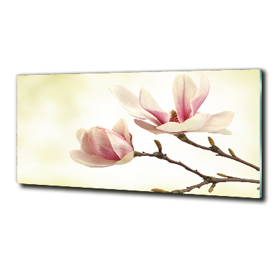 Glasbild Magnolie