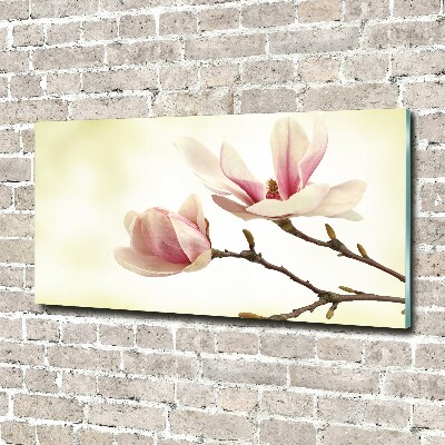 Glasbild Magnolie