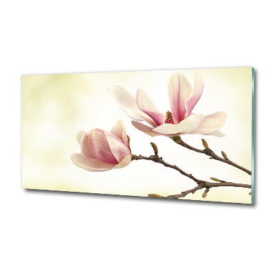 Glasbild Magnolie