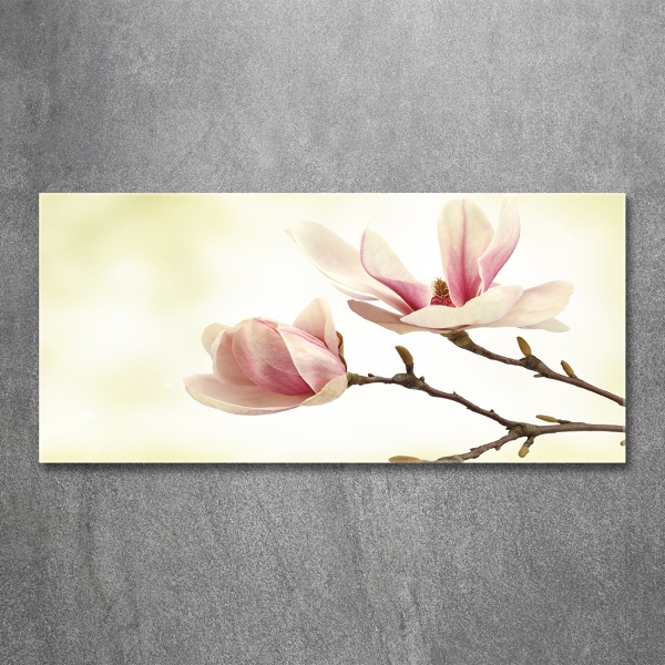 Glasbild Magnolie