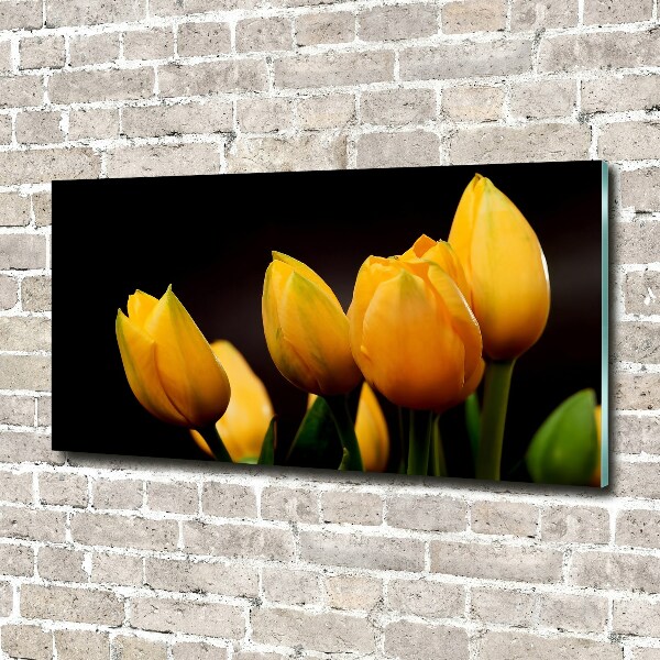 Bild auf glas Gelbe Tulpen