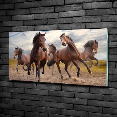 Bild auf glas Fünf Pferde