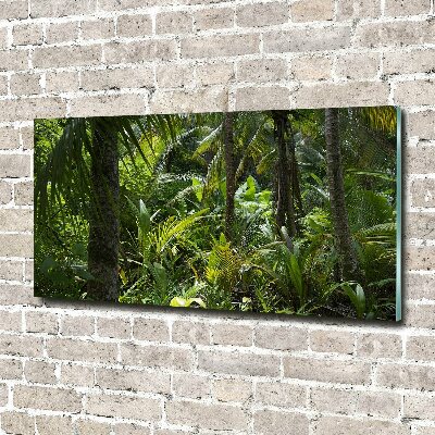 Foto glasbild Tropischer Wald