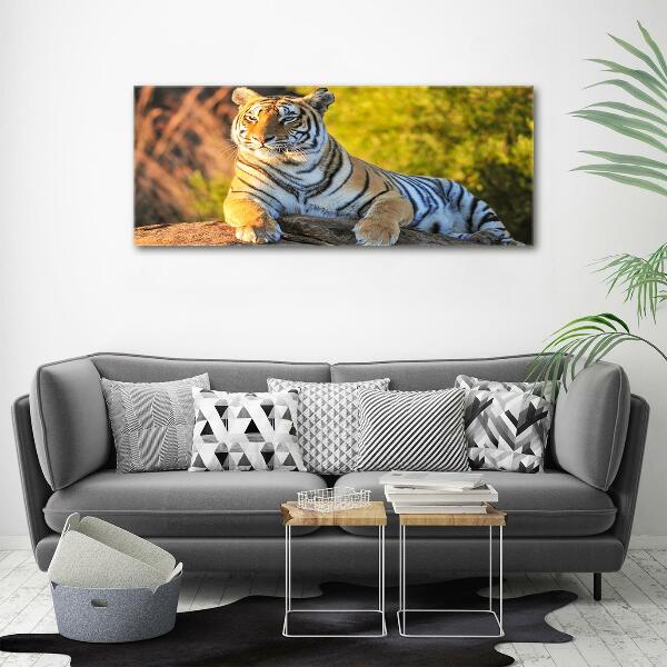 Foto glasbild Porträt eines Tigers
