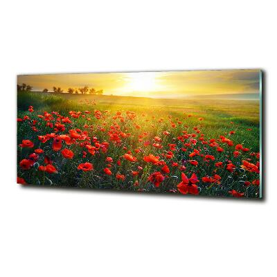 Foto glasbild Mohnfeld