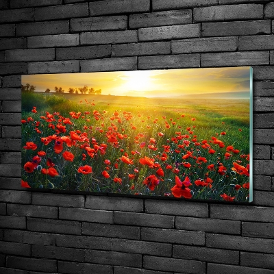 Foto glasbild Mohnfeld