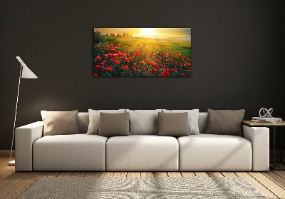 Foto glasbild Mohnfeld