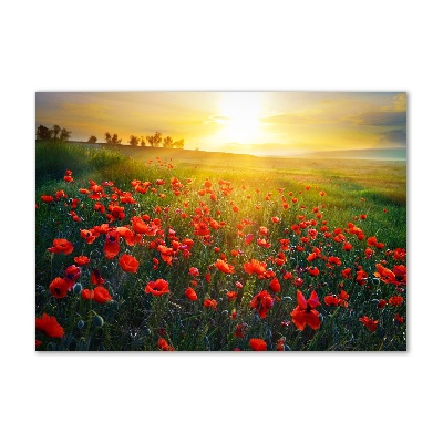 Foto glasbild Mohnfeld