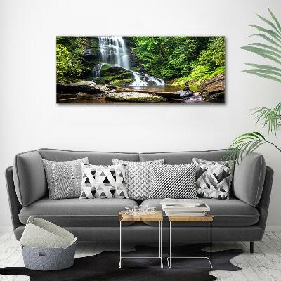 Bild auf glas Wasserfall im Wald