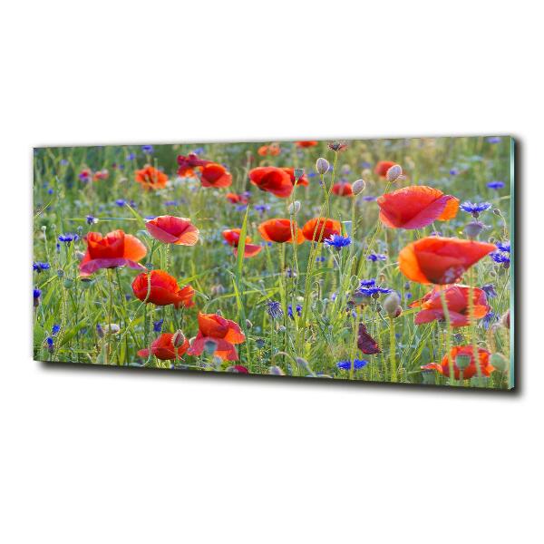 Foto glasbild Wildblumen