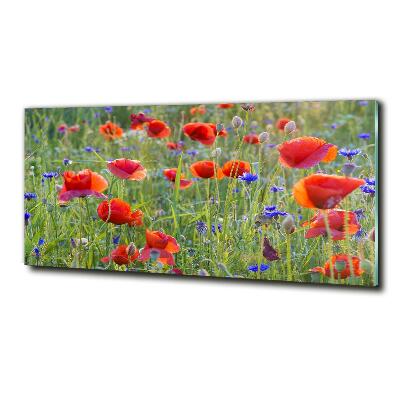 Foto glasbild Wildblumen