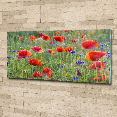 Foto glasbild Wildblumen
