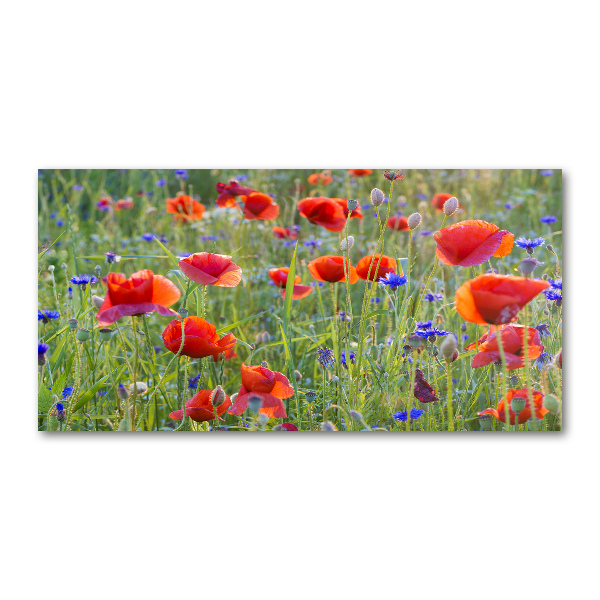 Foto glasbild Wildblumen