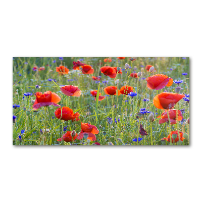 Foto glasbild Wildblumen