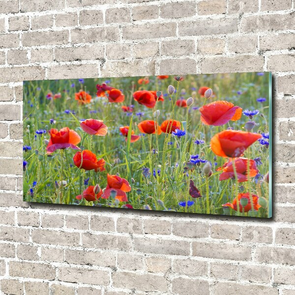 Foto glasbild Wildblumen