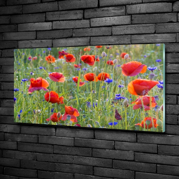 Foto glasbild Wildblumen