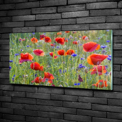 Foto glasbild Wildblumen